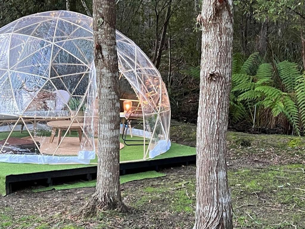 Base Glamp Bruny - Heated Tents For 8 People